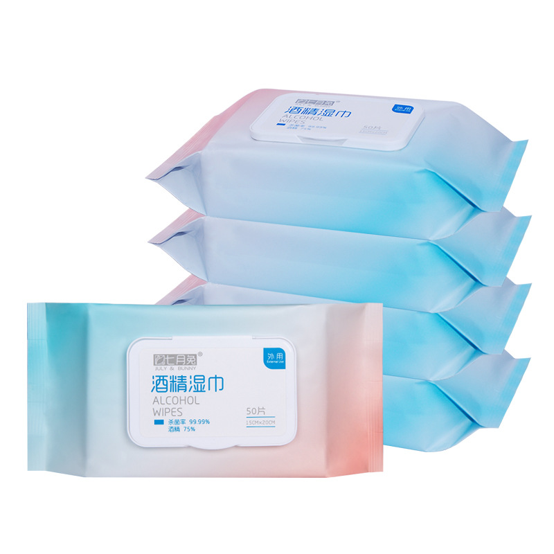 Salviette disinfettanti alcoliche da viaggio